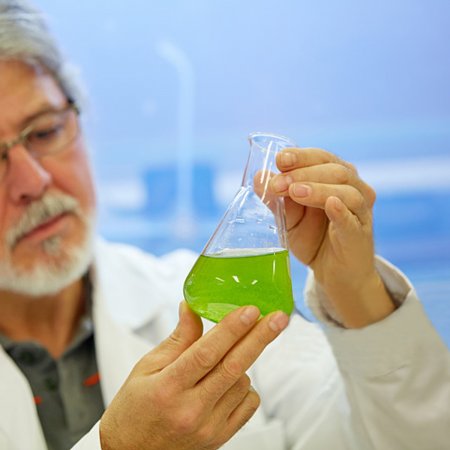 Plant Cell Culture