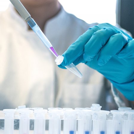 Biological Enzyme Preparation