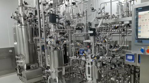 Bioreactor - GMP Stainless Steel Multi-step Microbial Fermentor