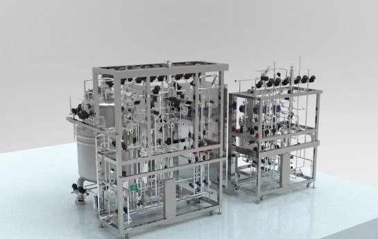 Mechanisms of hydrodynamic damage in mammalian cells