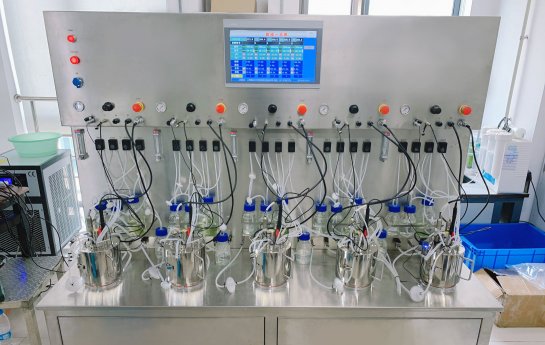 Optimization strategies and state-of-the-art applications of plant bioreactors