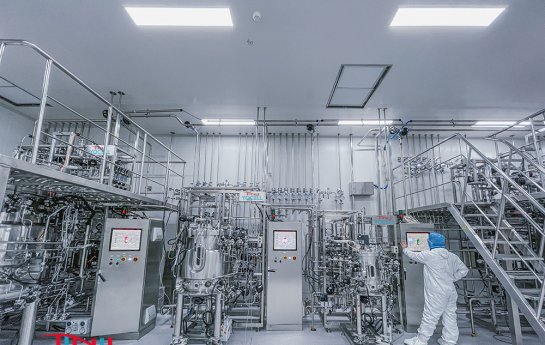 From mAbs to CGT: GMP-Grade Stainless Steel Bioreactors - The Core of Compliant Biopharma Production 