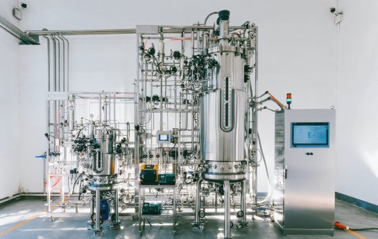 Plant Cell Culture Technology: A Promising Candidate for Complex Protein Production with Unique Advantages