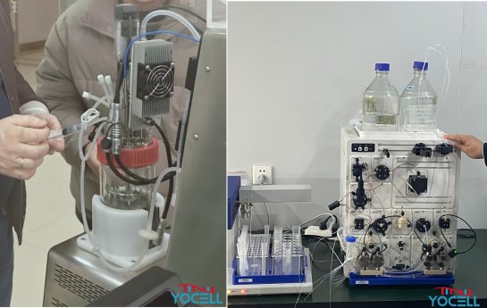 Training Update: Empowering Partners with Professional Expertise