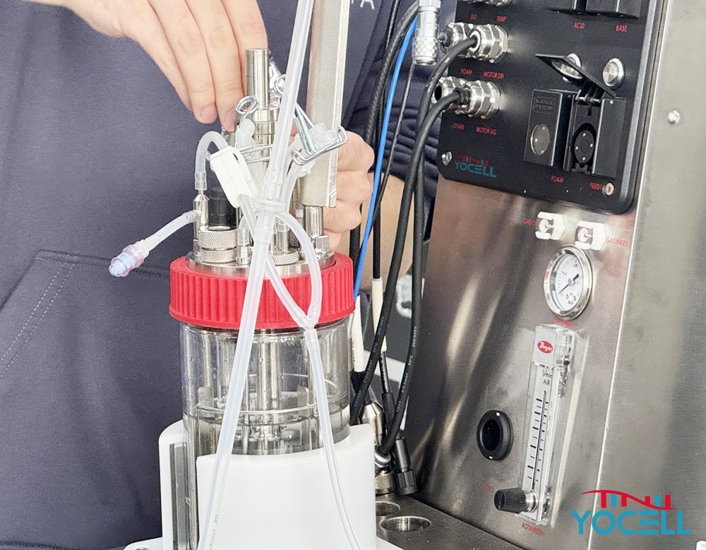 微信图片_20251113103852_145_76